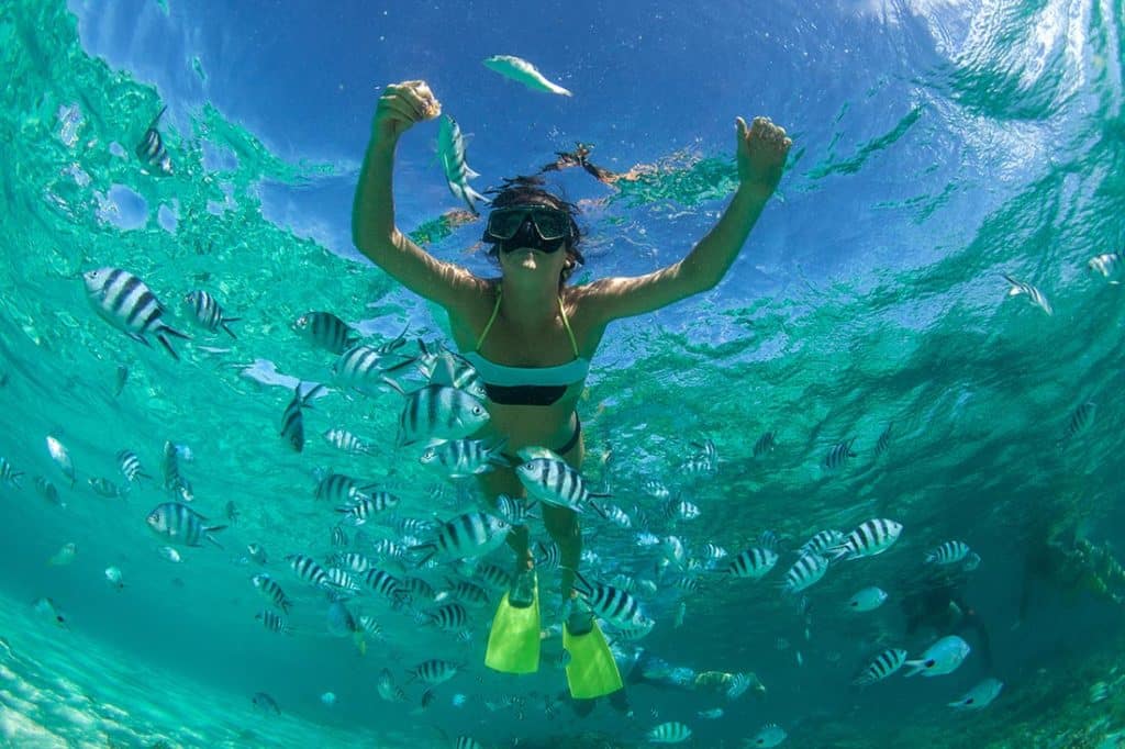 Swimming with fish