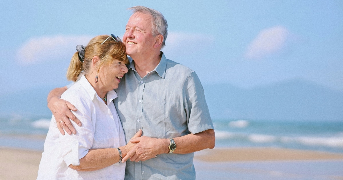 Blog Article February 2026 WordPress 1 1