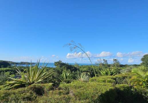 Un cocon élégant et pratique, au cœur d’un domaine côtier paisible.