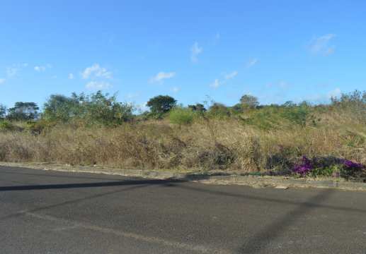 Plots of land for sale in Albion
