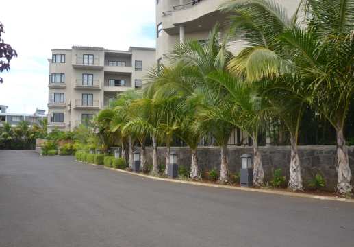 Centre ville et calme.