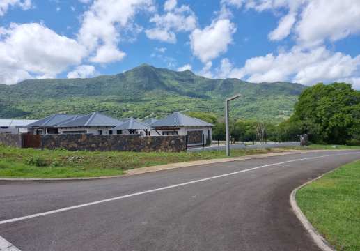 Immobilier de prestige au cœur de la Petite Rivière Noire, Domaine de Palmyre