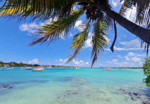 Bayside Marina & Waterfront Residences