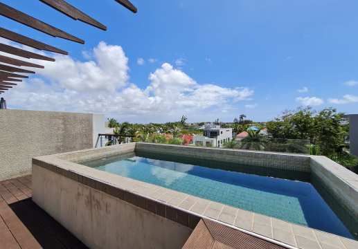 Penthouse PDS à vendre à Bain Boeuf, 230m², 3 chambres, piscine privée, meublé, animaux acceptés. Prix Rs 25 500 000.