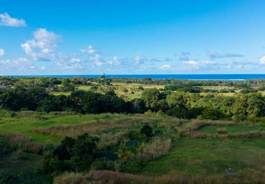 Freehold land for sale at Heritage Villas Valriche